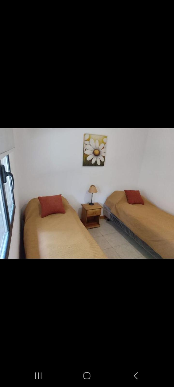 El Descanso Junin de los Andes Ngoại thất bức ảnh